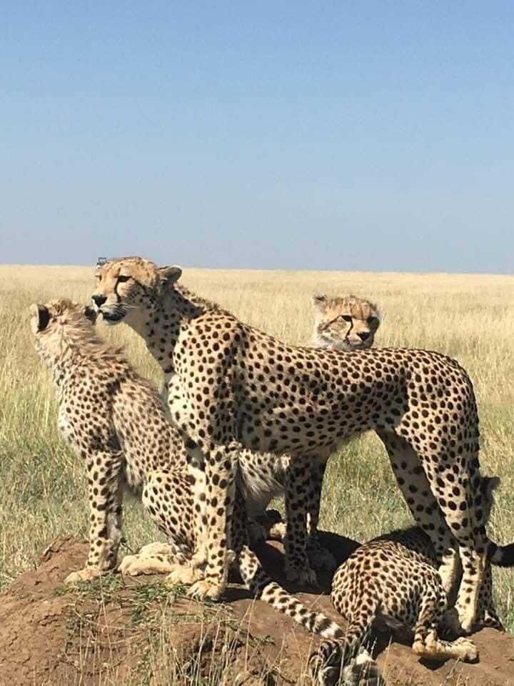 Einoti Safaris in Tanzania