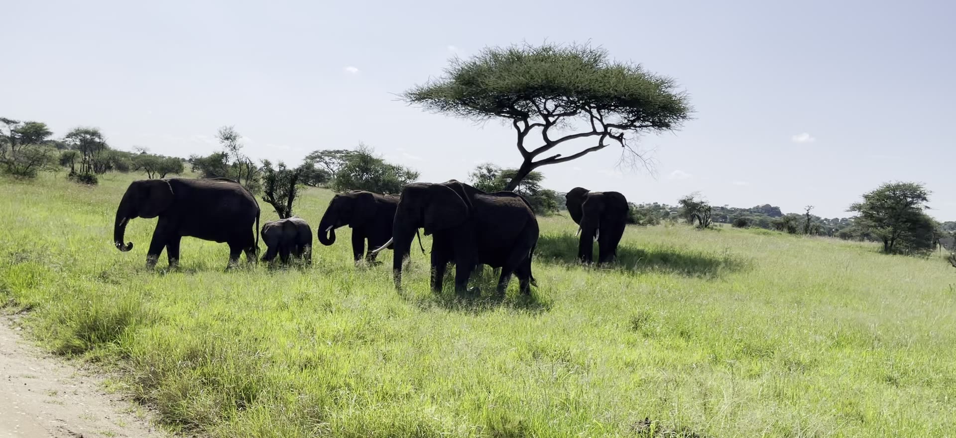 Einoti Safaris in Tanzania