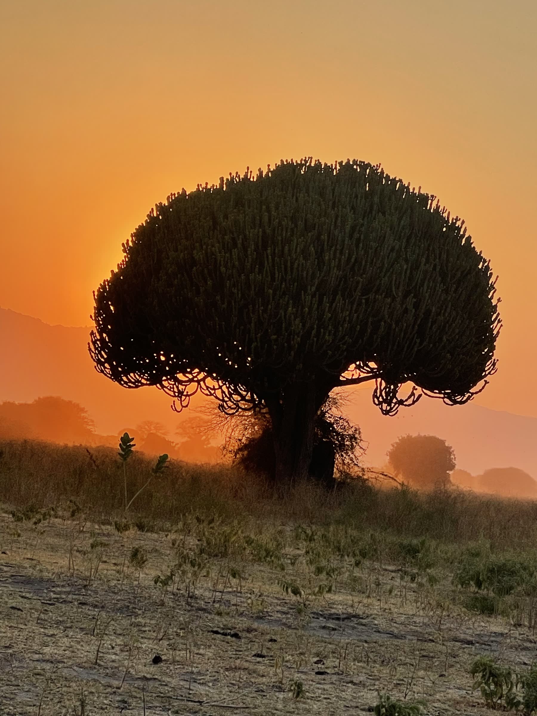Einoti Safaris in Tanzania