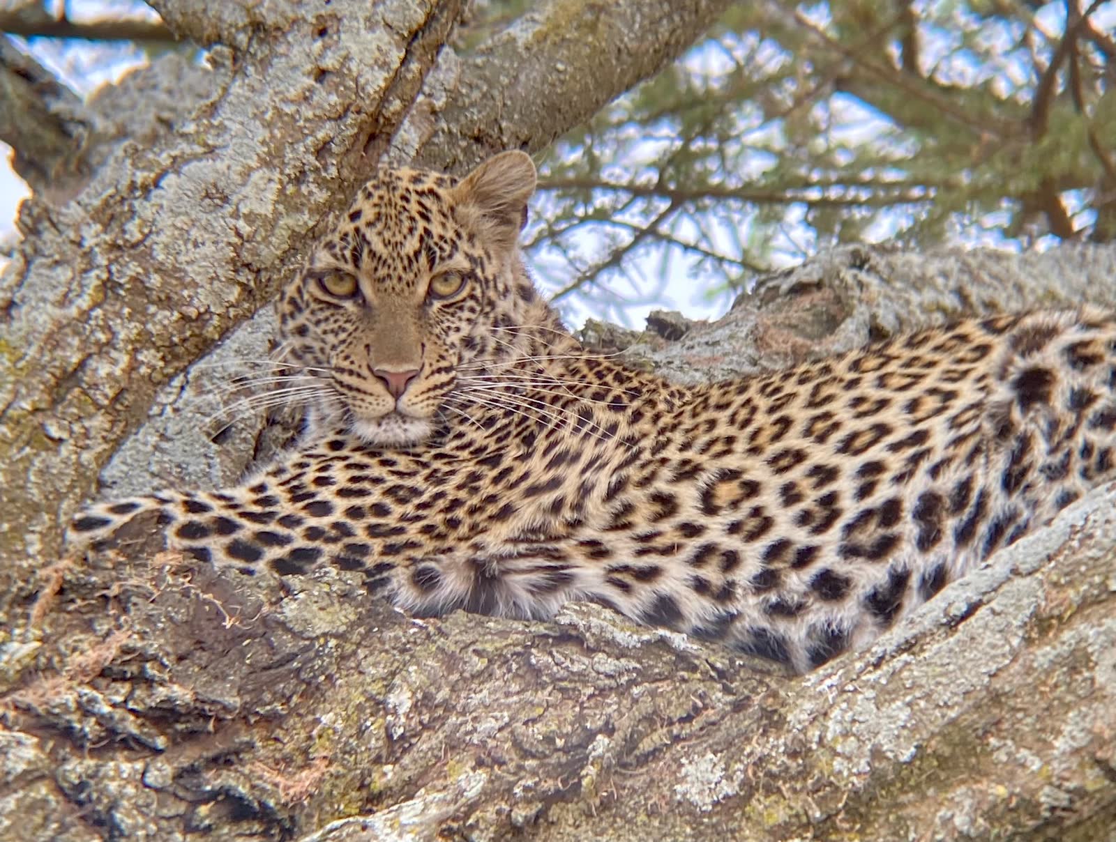 Einoti Safaris in Tanzania