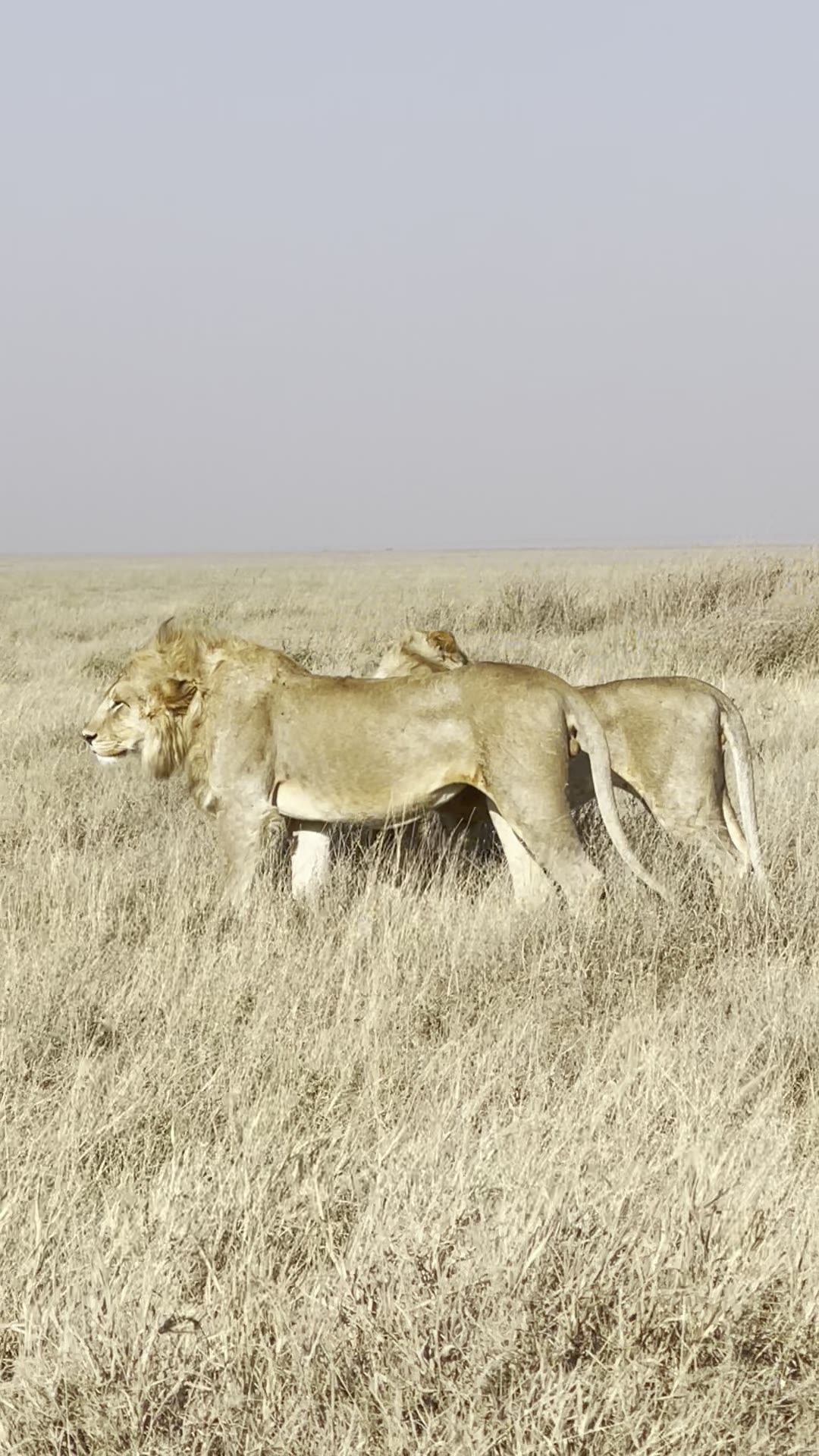Einoti Safaris in Tanzania