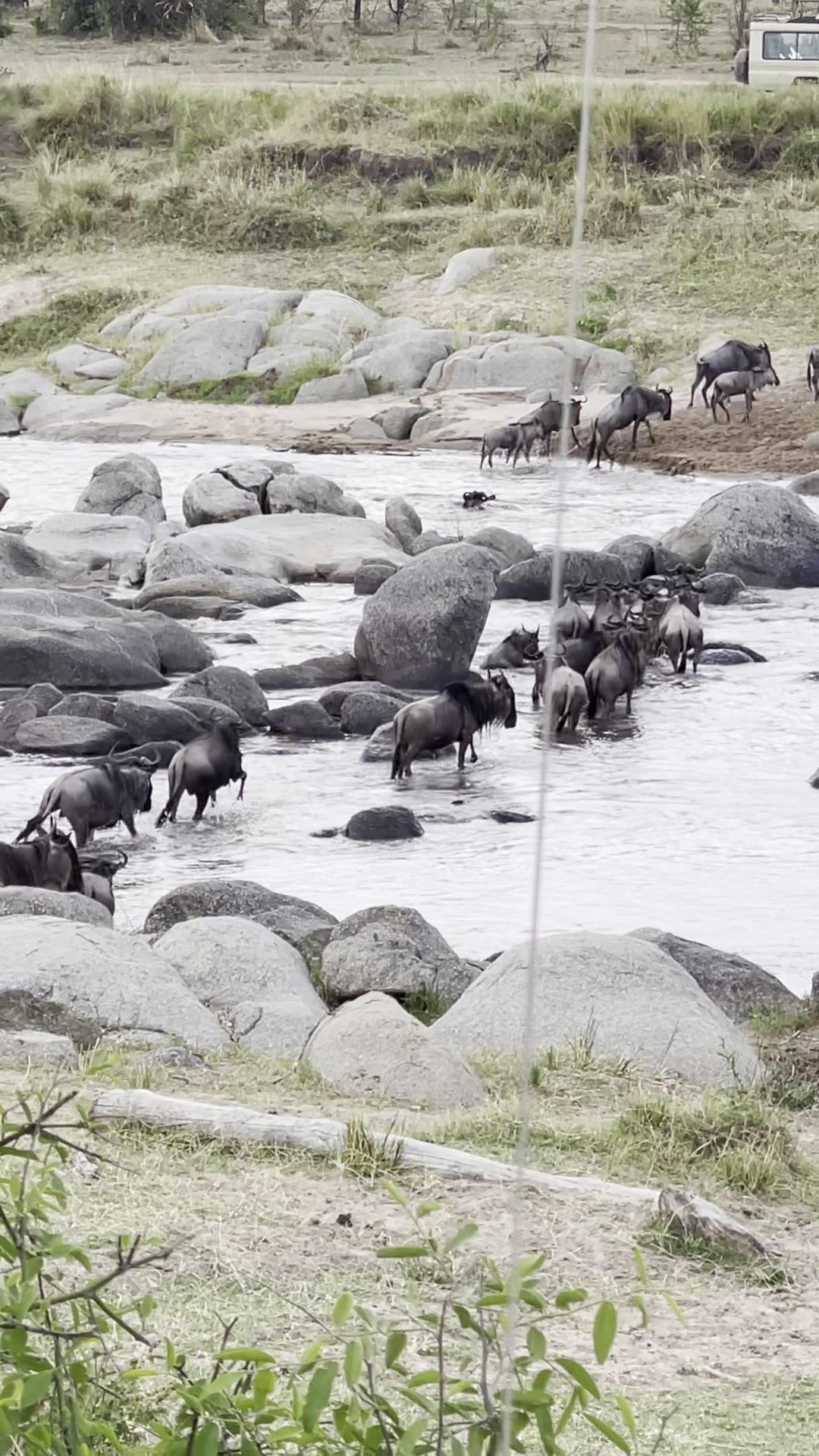 Einoti Safaris in Tanzania